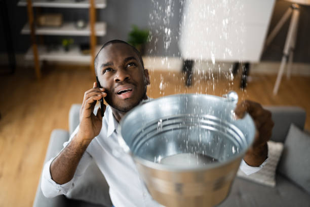 Best Flood restoration services  in Mount Pleasant, IA