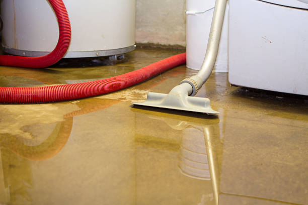 Best Flooded house restoration  in Mount Pleasant, IA