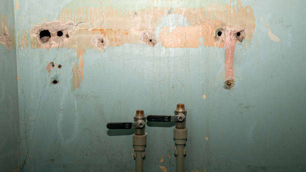 Best Local water damage restoration  in Mount Pleasant, IA