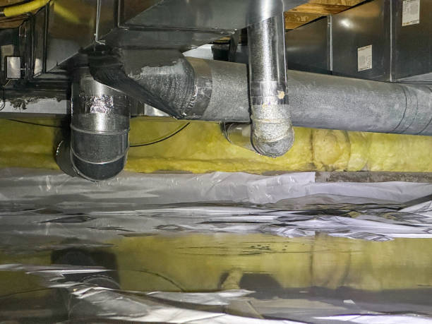 Best Carpet water damage restoration  in Mount Pleasant, IA