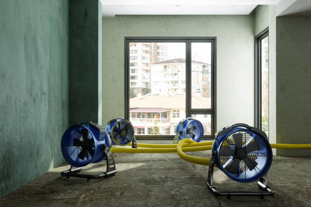 Best Ceiling water damage repair  in Mount Pleasant, IA