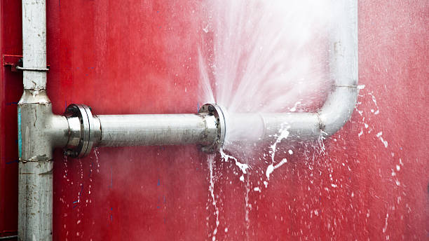 Best Water damage cleanup near me  in Mount Pleasant, IA